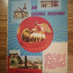 1977 Reclamă OJT Suceava, MARUL DE AUR, Bucovina turism comunism 19x12