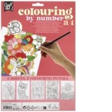 Set 5 planse A4 desen pe numere Creative Craft, cu 5 creioane colorate duble