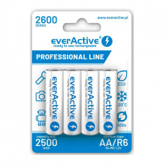 Baterii reincarcabile R6 AA 2600mAh everActive Professional-Conținutul pachetului 1x Blister