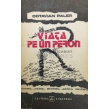 Viata pe un peron - Octavian Paler (@B129)