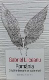 Cumpara ieftin Romania. O iubire din care se poate muri - 2016 - Gabriel Liiceanu (T30)