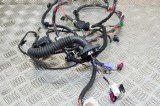 Cablaj ușă dreapta față TESLA MODEL 3 2019 OEM: 2067963-02-A 13776165