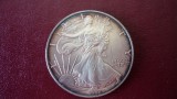 1 DOLLAR 1996 ARGINT 999 1 OZ., America de Nord