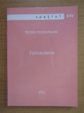 RARA, Fantasmele, Michele Perron Borelli, 2005, sexualitate, psihanaliza, dorinte sexuale/erotice, Freud, Sociologie, vise si fantasme,eros,erotic
