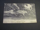 Carte poștală Germană originală &ndash; Kassel, Castelul Wilhelmsh&ouml;he,Piesă de colecție La Belle &Eacute;poque(cel mai probabil din perioada 1900&ndash;1940), Circulata, Printata