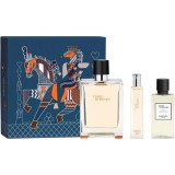 HERM&Egrave;S Terre d&rsquo;Herm&egrave;s Gift Set Eau de Toilette set cadou pentru bărbați