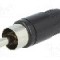 Conector RCA, tata, LUMBERG - STO 1 SCHWARZ