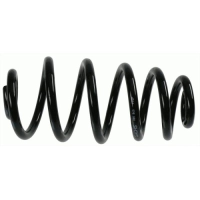 Sachs Arc spiral foto