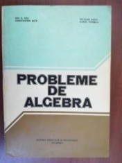 Probleme de algebra- Ion D. Ion, Constantin Nita