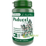 Paducel 60cps