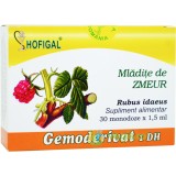 Mladite de Zmeur 30monodz