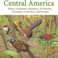 Birds of Central America: Belize, Guatemala, Honduras, El Salvador, Nicaragua, Costa Rica, and Panama