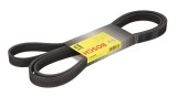 Curea transmisie cu caneluri VW CRAFTER 30-50 platou / sasiu (2F) (2006 - 2016) BOSCH 1 987 947 552