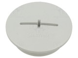 Senzor Temperatură SEZ DK TZ-M40 M40x1,5 -20&divide;80&deg;C cu Capac Protecție