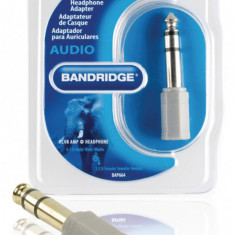 Adaptor audio stereo Jack 6.35 mm tata - Jack 3.5 mm mama gri Bandridge