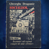 Cumpara ieftin SOCIALISM, SUBIECTIVISM - GHEORGHE DRAGOMIR