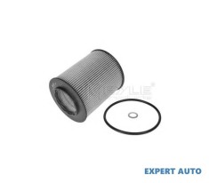 Filtru ulei BMW X5 (E53) 2000-2006