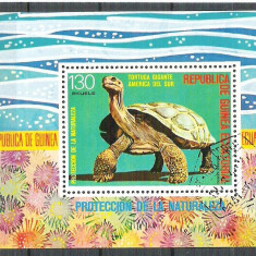 Eq. Guinea 1977 Turtles, perf. sheet, used M.022