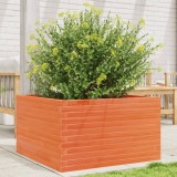 vidaXL Jardinieră grădină, maro ceruit, 80x80x45,5 cm, lemn masiv pin