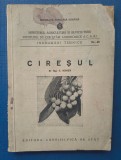 Cumpara ieftin Ing.C.Ionita - Ciresul