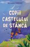 Copiii castelului de st&acirc;ncă - Paperback brosat - Natasha Farrant - Curtea Veche