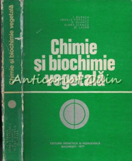 Chimie Si Biochimie Vegetala - I. Burnea - I. Burnea, Ionela Popescu, G. Neamtu, foto