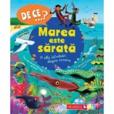 DE CE&hellip;? Marea este sarata si alte intrebari despre oceane - Anita Ganeri