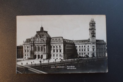 20ADE - Vedere - Carte postala - Oradea - Primaria foto