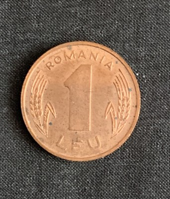 Moneda 1 leu 1995 foto