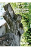 Melancolia din Sainte-Anne - Stefan Klaas