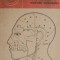 Acupunctura, metoda straveche &ndash; Teodor Caba, Marius-Theodor Caba