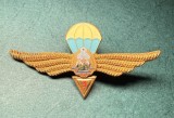 Insigna parasutist militar Romania 1965 1977 RSR clasa 3