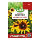 Seminte legume Amia A, Rudbeckia Hirta Autumn Forest