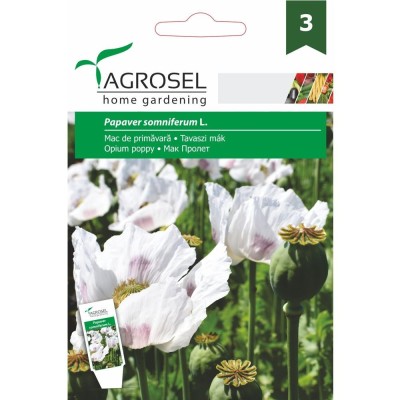 Seminte flori Agrosel, mac de primavara foto