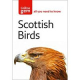 Scottish Birds