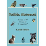 Tal&aacute;l&oacute;s &aacute;llatmes&eacute;k - Kajt&aacute;r S&aacute;ndor