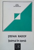 Soimul in iarna - Stefan Radof