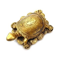 Broasca testoasa Feng Shui