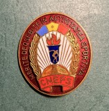 Insigna Merite deosebite in activitatea sportiva CNEFS