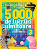 5000 de lucruri uimitoare |, Litera