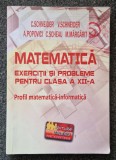 MATEMATICA. EXERCITII SI PROBLEME PENTRU CLASA A XII-A - Schneider