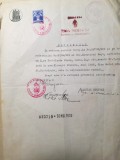 1939, Certificat de naționalitate rom&acirc;nă, Primăria Iași / Str. Asachi, Nr.9