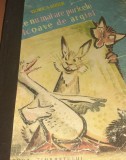 DE CE NU MAI ARE PURICELE POTCOAVE DE ARGINT de VIORICA HUBER , ilustratii DEM , 1968