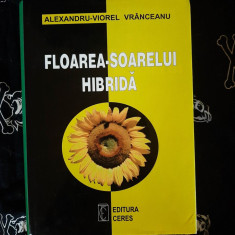 Alexandru - Viorel Vranceanu - Floarea - soarelui hibrida