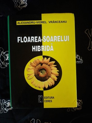 Alexandru Viorel Vranceanu - Floarea-Soarelui hibrida foto