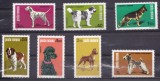 TSV% - 1981 LP 1024 EXPOZITIA NATIONALA CANINA, MNH/** LUX