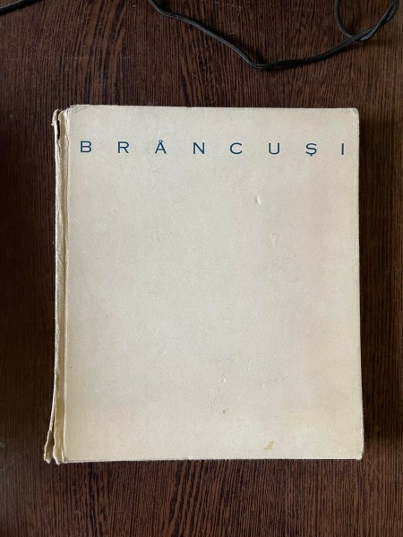 Mircea Deac Constantin Brancusi