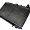 Radiator, racire motor NISSAN ALMERA I Hatchback (N15) (1995 - 2000) THERMOTEC D71008TT