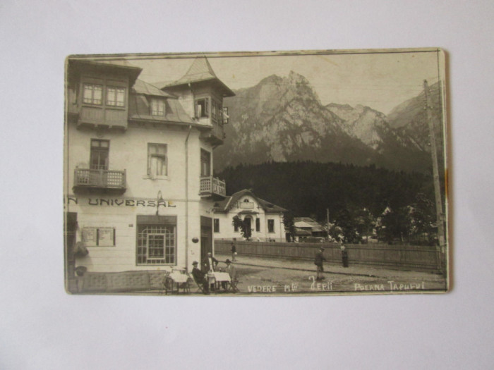 Rară! Poiana Țapului-Munții Jepii:Magazin Universal,restaurant,c.p.foto 1931