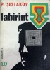 Labirint P. Sestakov, 1974, Junimea